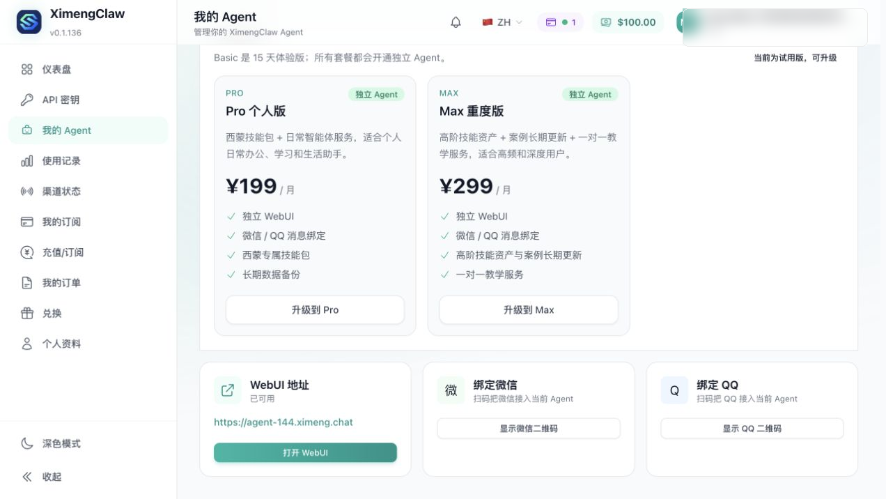 Agent 已就绪页面截图